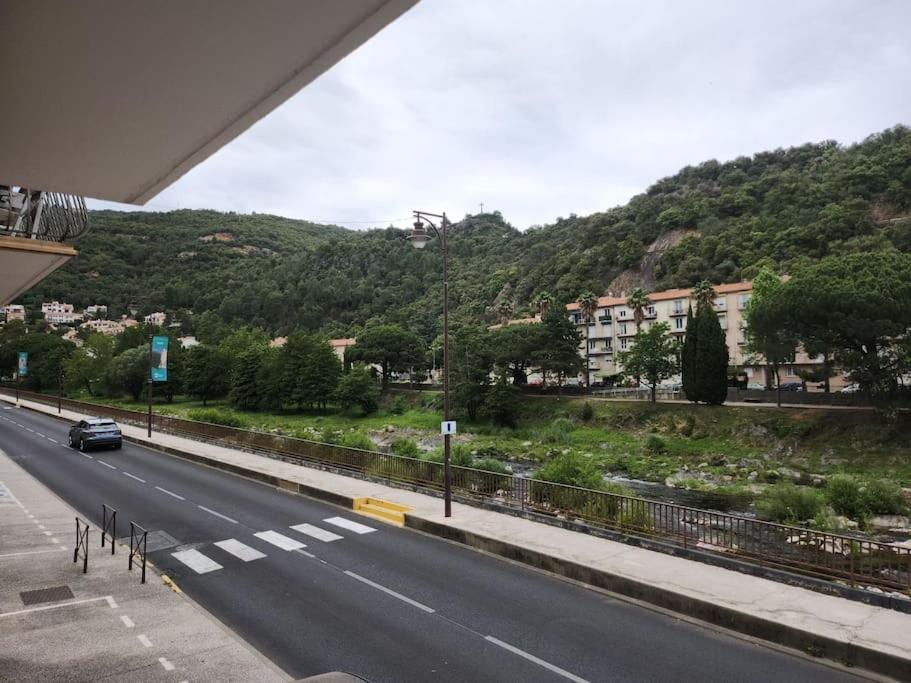 אמלי-לה-באינס-פללדה Residence Centrale Appartement 3 Pieces Garage Et Jardin מראה חיצוני תמונה